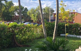 Laguna Club Miami
