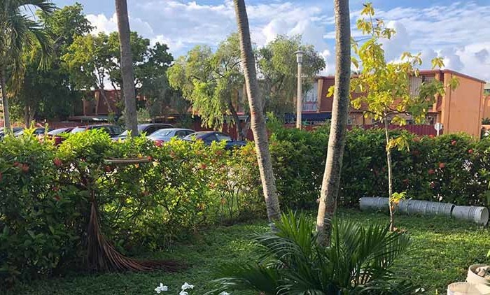 Laguna Club Miami