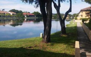 Misty Lake Miami