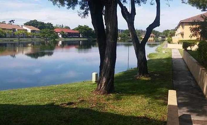 Misty Lake Miami